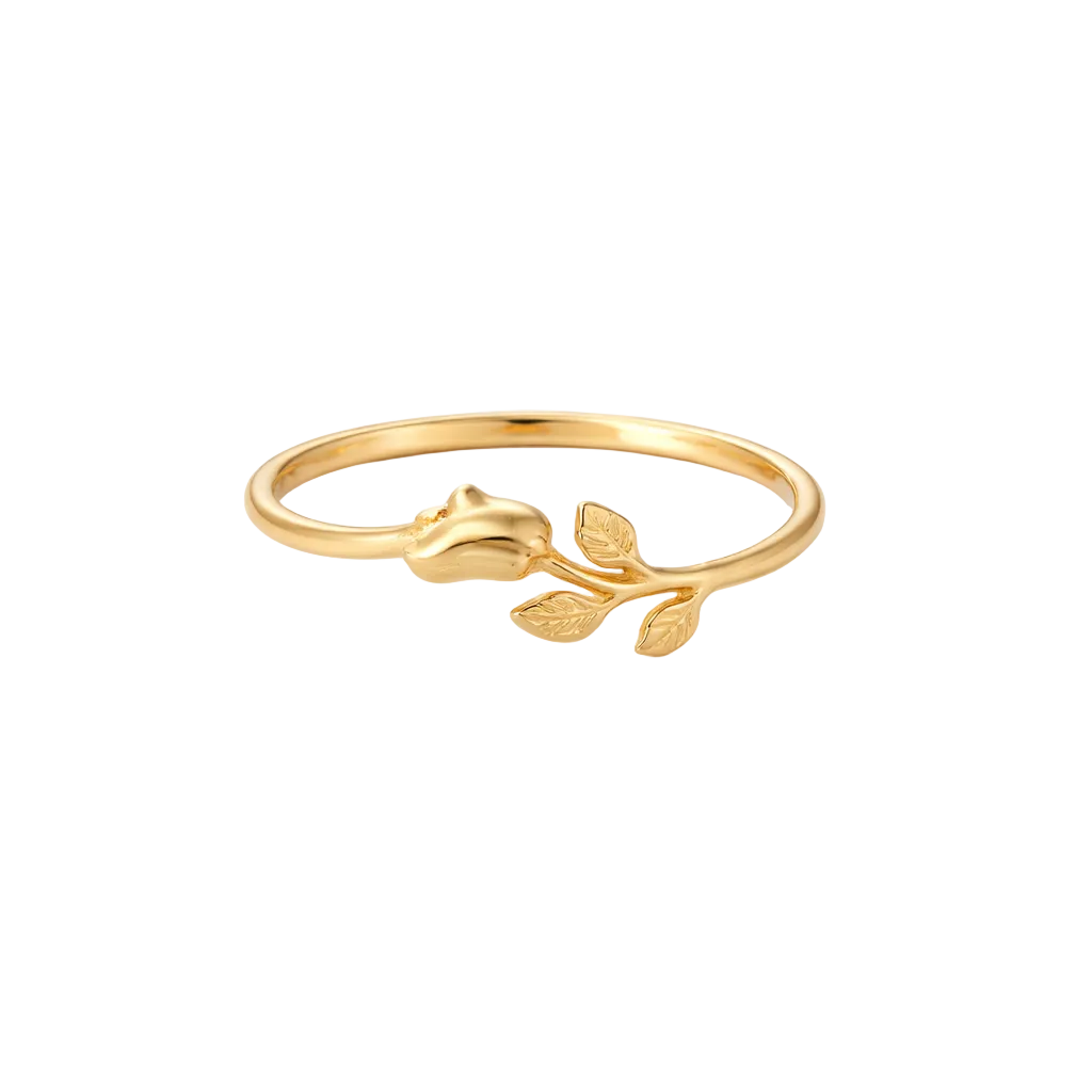 Golden Arbor Rose Petal Necklaces & Ring