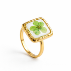 Fiona's Clover